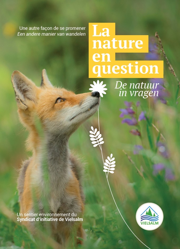 Affiche la Nature en question