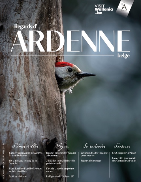 tête d'un oiseau sortant d'un tronc d'abre (c) Martin Dellicour