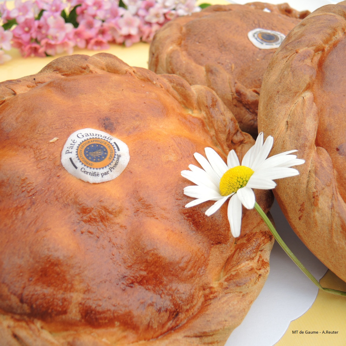 Ontdek de Gaumse Vleespastei!