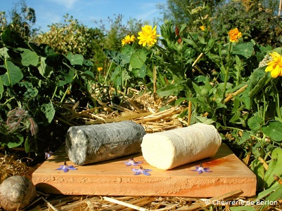 Geitenboerderij Borlon