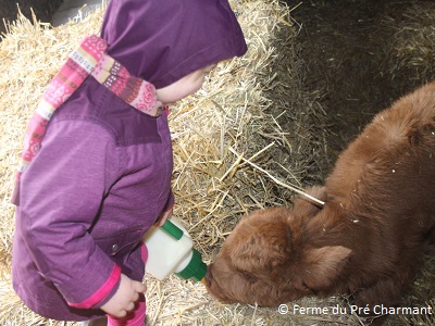 Boerderij Pré Charmant Grandhan (6km de Durbuy)